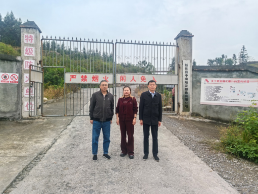 1770341321176200.png ffe3e1a2-e420-4155-ab12-80dba03f8065.png